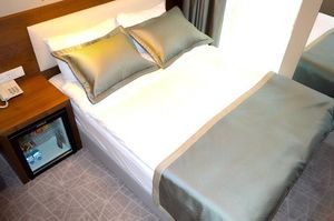 turkiye/ankara/cankaya/hotel-2017_a8026a02.jpg