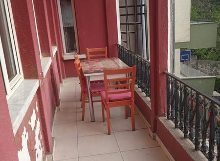 turkiye/ankara/cankaya/kirpi-konaklama_5a081a59.jpg