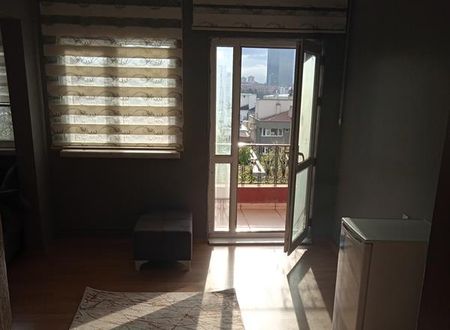 turkiye/ankara/cankaya/kirpi-konaklama_c6da3384.jpg