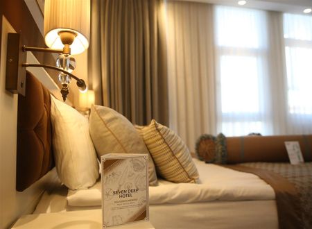 turkiye/ankara/cankaya/seven-deep-hotel-f6130072.jpg