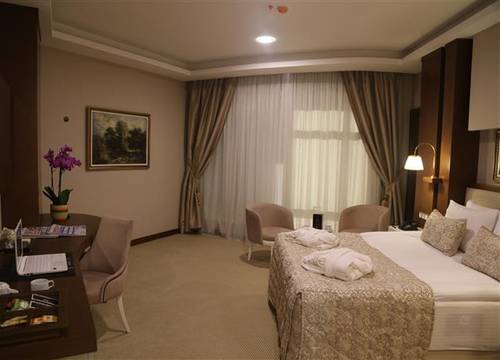 turkiye/ankara/cankaya/vivaldi-park-hotel-56979241.JPG