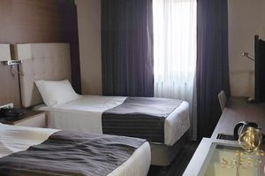 turkiye/ankara/maltepe/saffari-hotel-ankara_5d1b999c.jpg