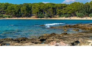 turkiye/antalya/alanya/179007353_121627526694893_4290719516475961818_n31b75eacd30d460980dd5d0d8d6bd49e.jpg