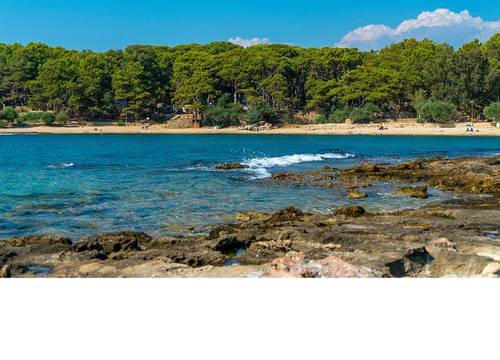 turkiye/antalya/alanya/179007353_121627526694893_4290719516475961818_n31b75eacd30d460980dd5d0d8d6bd49e.jpg