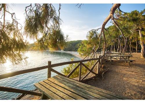 turkiye/antalya/alanya/179158022_121627353361577_1741094832822323611_n036ae622b9e3433fb3cd85766154cd32.jpg