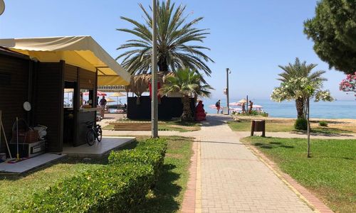 turkiye/antalya/alanya/arsi-enfi-city-beach-hotel-156ee3ba.jpg