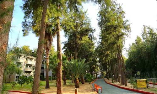 turkiye/antalya/alanya/bayar-garden-beach-hotel_feff5a72.jpg