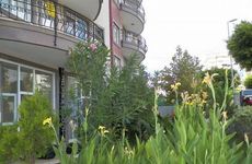 turkiye/antalya/alanya/deniz-suit-family-hotel--191812n.jpg