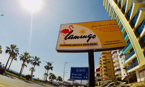 turkiye/antalya/alanya/flamingo-beach-suite-hotel_41253e59.jpg