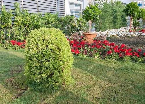 turkiye/antalya/alanya/graf-victor-hotel_a1289317.jpg