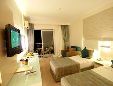Habitación Estándar - Vistas al terreno