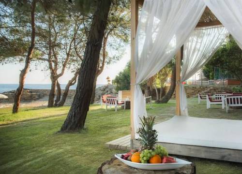 turkiye/antalya/alanya/modern-saraylar-halal-hotel-orman-evleri_20fd51b5.jpg