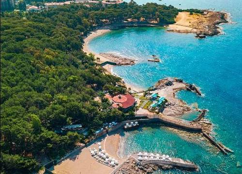 turkiye/antalya/alanya/modern-saraylar-halal-hotel-orman-evleri_2a839fe1.jpg