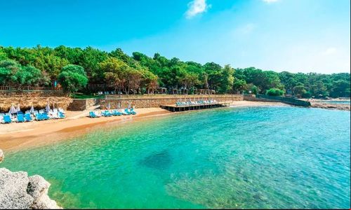 turkiye/antalya/alanya/modern-saraylar-halal-hotel-orman-evleri_2e3e52ae.jpg