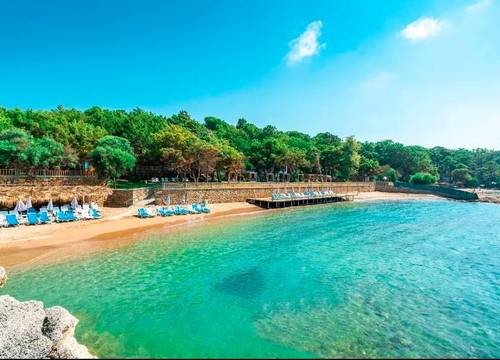 turkiye/antalya/alanya/modern-saraylar-halal-hotel-orman-evleri_2e3e52ae.jpg
