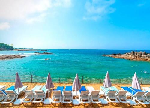 turkiye/antalya/alanya/modern-saraylar-halal-hotel-orman-evleri_515a1c39.jpg