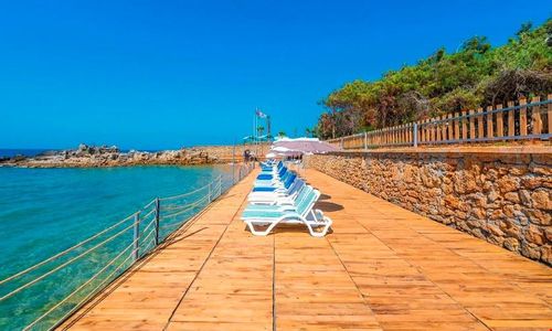 turkiye/antalya/alanya/modern-saraylar-halal-hotel-orman-evleri_929df881.jpg