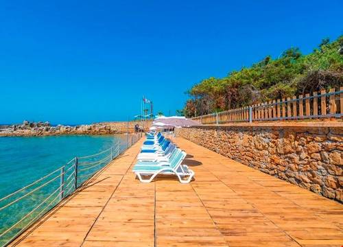turkiye/antalya/alanya/modern-saraylar-halal-hotel-orman-evleri_929df881.jpg