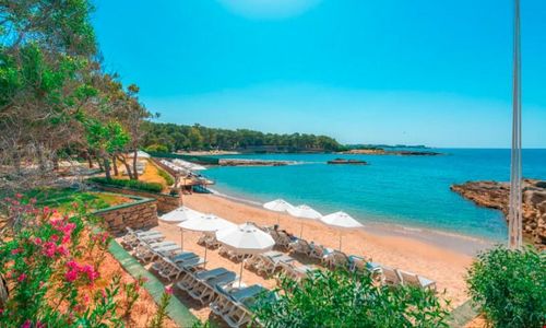 turkiye/antalya/alanya/modern-saraylar-halal-hotel-orman-evleri_937fbbf5.jpg