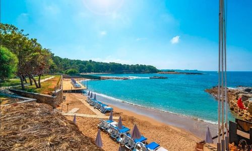turkiye/antalya/alanya/modern-saraylar-halal-hotel-orman-evleri_d008dc2d.jpg