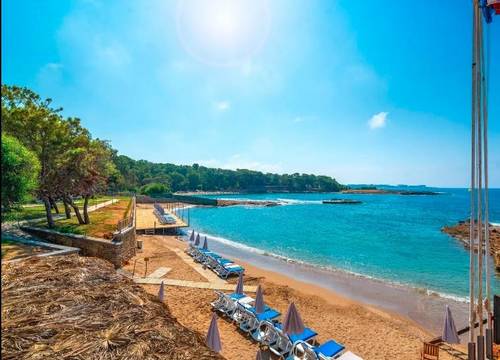 turkiye/antalya/alanya/modern-saraylar-halal-hotel-orman-evleri_d008dc2d.jpg