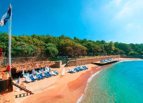 turkiye/antalya/alanya/modern-saraylar-halal-hotel-orman-evleri_d1ab78ca.jpg