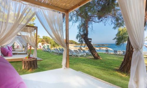 turkiye/antalya/alanya/modern-saraylar-halal-hotel-orman-evleri_e35c751a.jpg