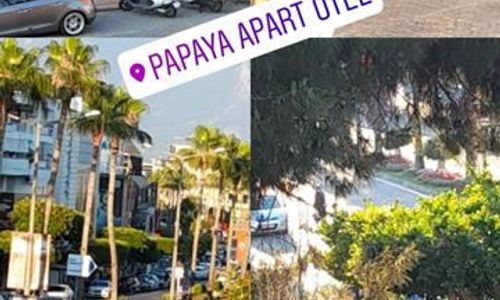 turkiye/antalya/alanya/papaya-apart-hotel_54706242.jpg