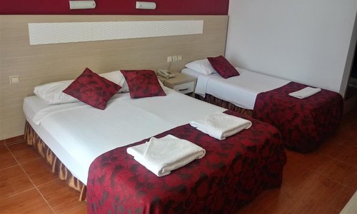 turkiye/antalya/alanya/royal-ideal-beach-hotel-433f9e1b.jpg