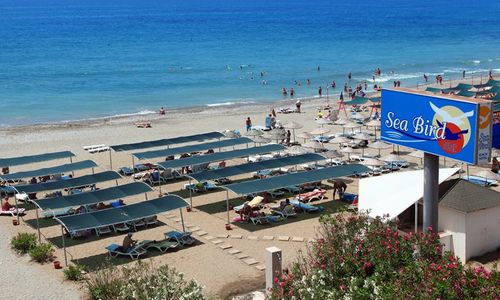 turkiye/antalya/alanya/sea-bird-beach-hotel-523180.jpg