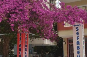 turkiye/antalya/alanya/sefabey-hotel-322533.jpg