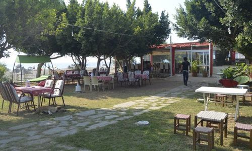 turkiye/antalya/alanya/selinus-beach-club-hotel--157879r.jpg