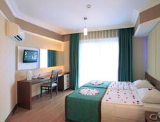Standard Room - Castle View