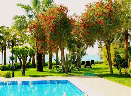 turkiye/antalya/alanya/villa-augusto-butik-hotel-spa-63852151.jpg
