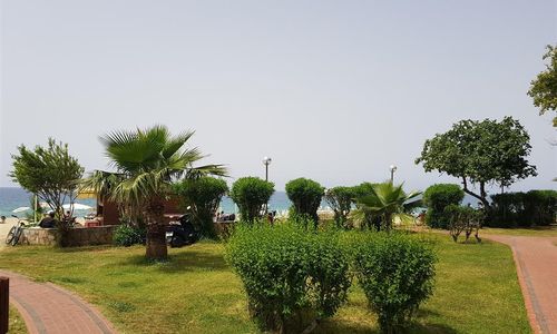 turkiye/antalya/alanya/wasa-city-hotel-alanya-56f8c05d.jpg