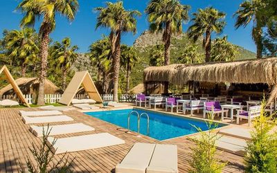 The Hill Glamping · 3