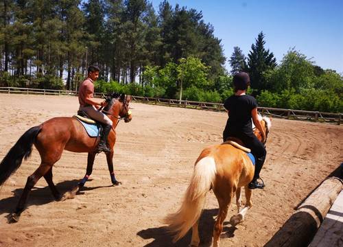 turkiye/antalya/antalyamerkez/orfe-atli-spor-kulubu-7a47547a.jpg