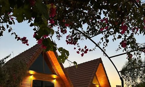 turkiye/antalya/demre/begonwil-bungalow-apart-demre_e2b11bed.jpg
