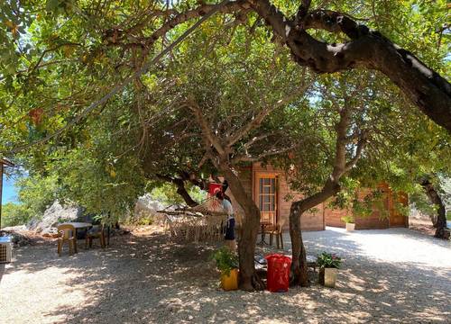 turkiye/antalya/demre/kekova-bakacak-pansiyon_c7dc8231.jpg