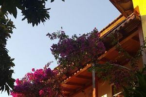 turkiye/antalya/finike/portakalya-a1e47287.jpg