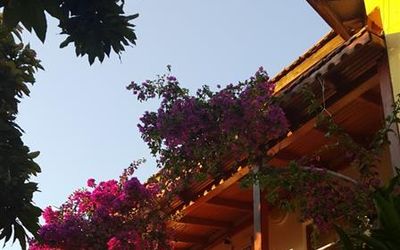 Portakalya Pansiyon · 3