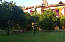 turkiye/antalya/finike/portakalya-a88438e6.jpg
