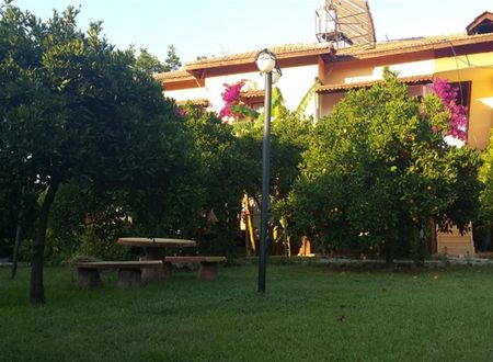 turkiye/antalya/finike/portakalya-a88438e6.jpg