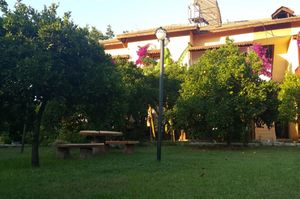 turkiye/antalya/finike/portakalya-c10dbcbc.jpg