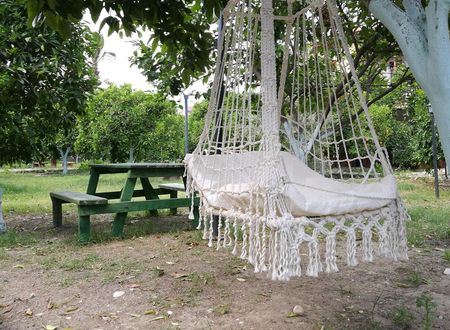 turkiye/antalya/finike/portakalya_265a3ba7.jpg