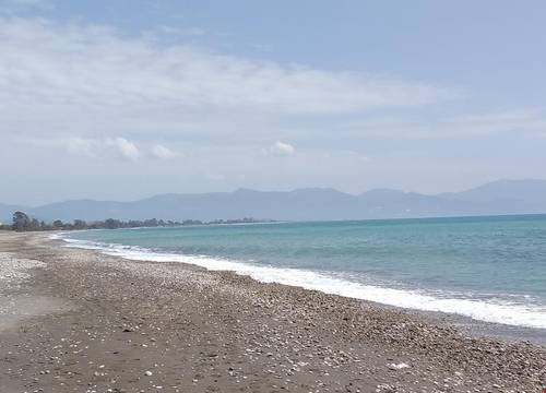 turkiye/antalya/finike/portakalya_44bc4789.jpg