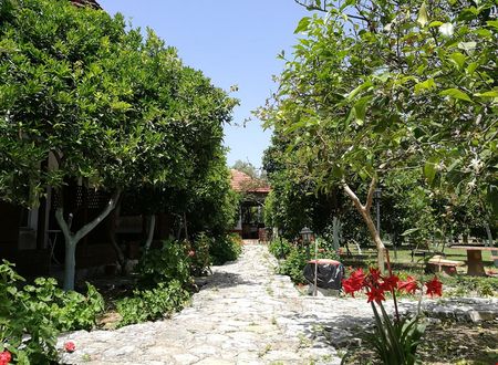 turkiye/antalya/finike/portakalya_90347e89.jpg