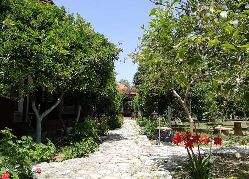 turkiye/antalya/finike/portakalya_90347e89.jpg