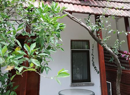 turkiye/antalya/finike/portakalya_ed0e7711.jpg