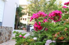 turkiye/antalya/gazipasa/delfin-otel_1e6d5742.jpg